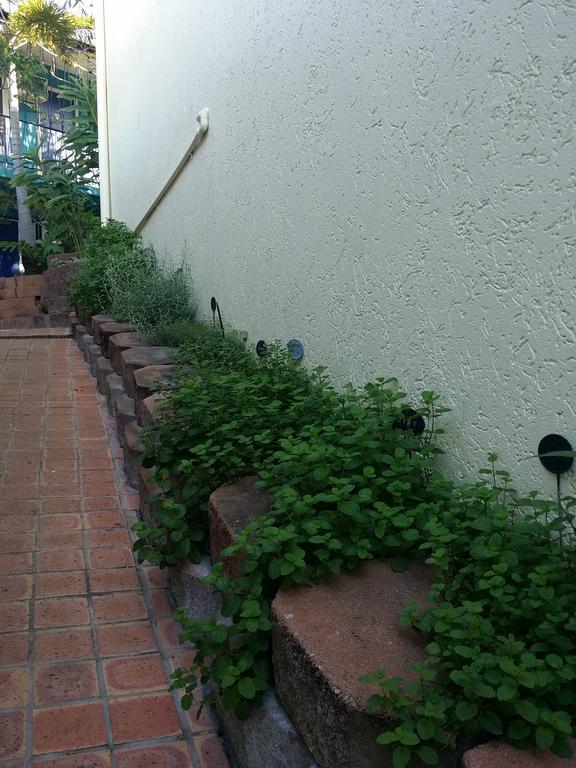 Reef Lodge Backpackers Townsville Ngoại thất bức ảnh